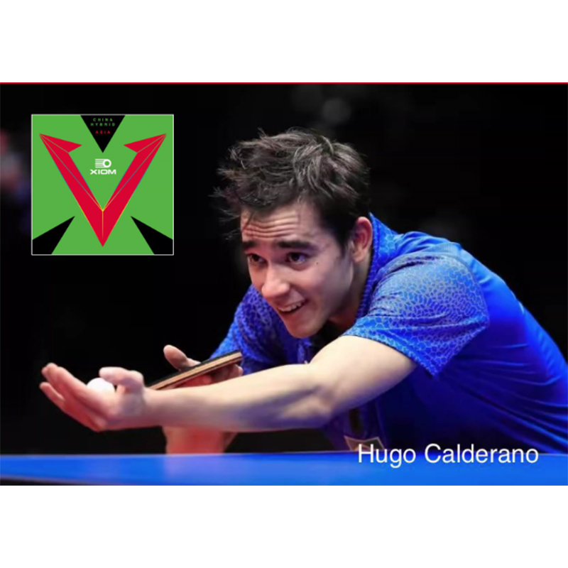 Table Tennis Hybrid Rubbers - XIOM VEGA ASIA HYBRID 79-079 卓球ラバー