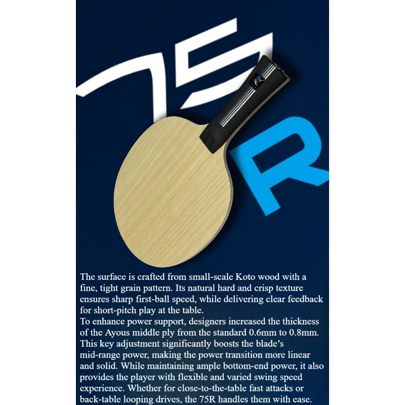 SANWEI 75R 5+2 アウターH-GLC卓球ブレード - Table Tennis Blades のレビューと価格